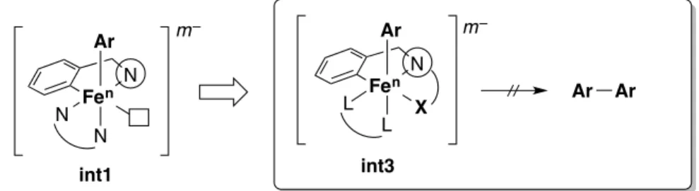 Figure 2. Working hypothesis using a bidentate directing group 
