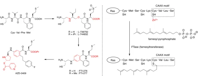 Figure 1-2-1. CAAX ペプチド等価体の創製と FTase によるファルネシル化