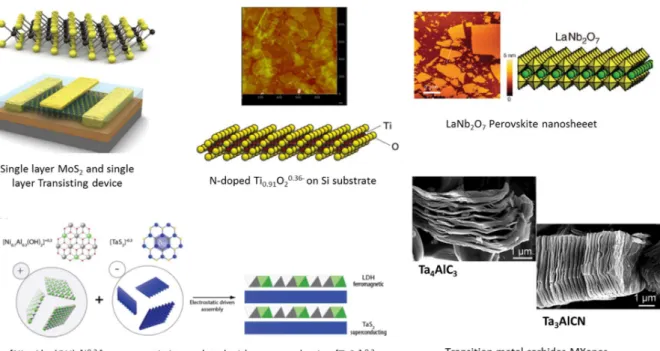 Figure 1.2.2 Different examples of inorganic 2-D layered materials 66,70,76,141,142 . 