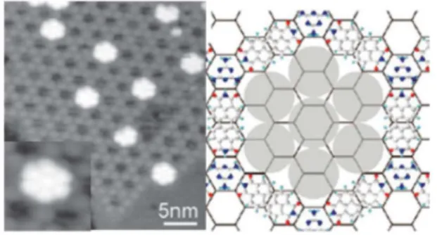 Figure 1.2.3 Different examples of self-assembly 81 . 