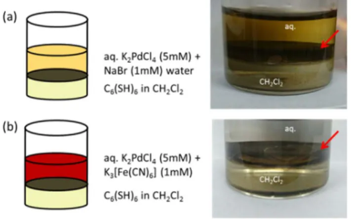 Figure  2.2.1  Fabrication  of  micro-PdDT.  Both  (a)  and  (b)  illustrate  liquid-liquid  interfacial  reaction and photography represent 1 and 2 (red arrow) at the interface, respectively