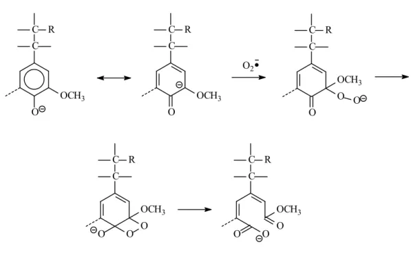 FIGURE 1-6: Reaction mechanism B of phenolic units under oxygen alkaline treatment  (Ring opening) O OCH 3CRCOC ROOOCH3 C OCRO OCH 3O Further degradationO2CC ROOCH3COCOROOCH3