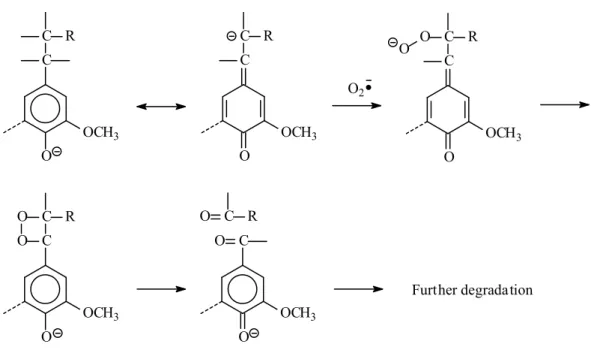FIGURE 1-7: Reaction mechanism C of phenolic units under oxygen alkaline treatment  (Side chain cleavage) 