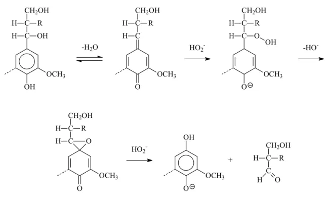FIGURE  1-8:  Reaction  mechanism  for  oxidation  of  phenolic  lignin  model  compound  under alkaline hydrogen peroxide treatment 