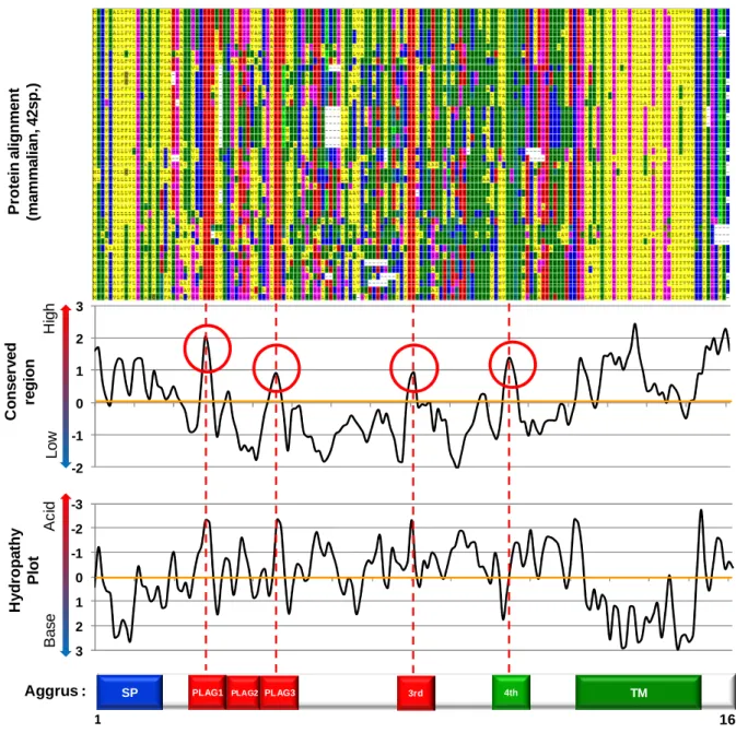 Fig. 1-1  マ ル チ プ ルアラインメントと マ ル チ プ ルアラインメントと マ ル チ プ ルアラインメントと マ ル チ プ ルアラインメントと Sliding window 解 析 解 析 解 析 解 析
