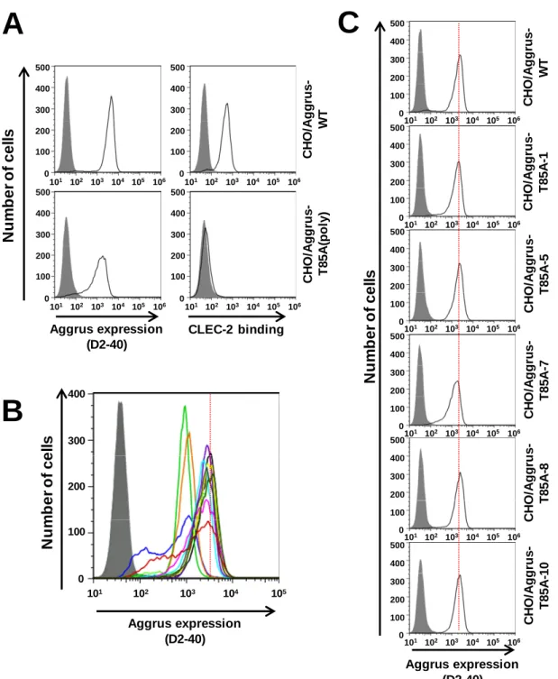 Fig. 1-6 PLAG ド メ イン変異体 ド メ イン変異体 ド メ イン変異体 ド メ イン変異体 Aggrus 発現 発現 発現 発現 CHO 細 胞の作製手順 細 胞の作製手順 細 胞の作製手順 細 胞の作製手順