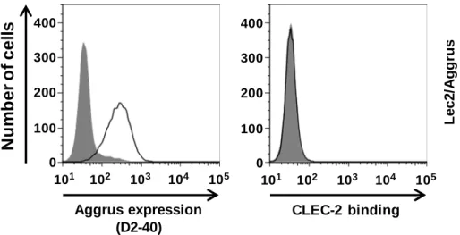 Fig. 1-9 Lec2/Aggrus 細 胞 は 細 胞 は 細 胞 は 細 胞 は CLEC-2 と 結 と 結 と 結 と 結 合 しない 合 しない 合 しない 合 しない