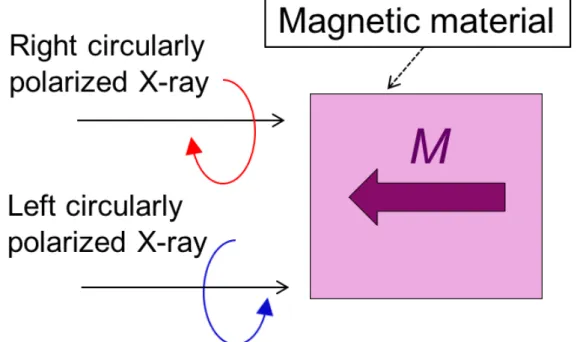 Fig. 3. Schematic structure of the XMCD measurements.