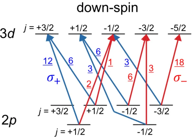 Fig.  4.  Schematic  diagram  of  the  relative  transition  probabilities  between  the  2p  core  levels  and  the  3d  down-spin states of Fe.