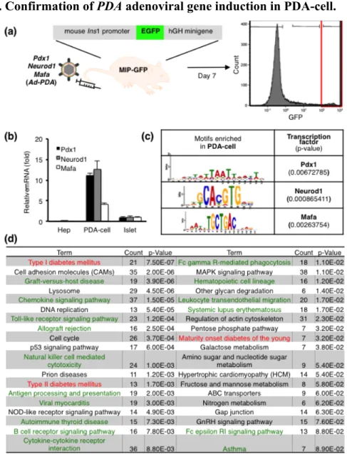 Figure  1.  (a)  A  schematic  diagram  of  isolation  of  PDA-cell.  At  day  7  of  Ad-PDA  injection  into  MIP-GFP  mouse,  liver  cells  were  analyzed  by  flow  cytometry  and  purified by GFP expression level