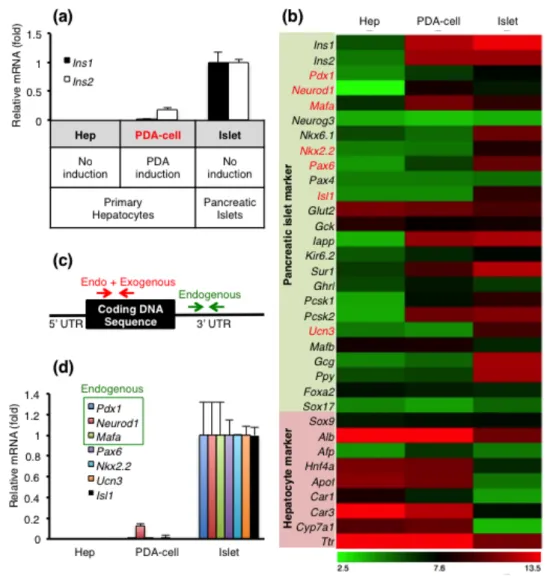 Figure  2.  At  day  7  of  Ad-PDA  injection  into  MIP-GFP  mouse,  liver  cells  were  analyzed by flow cytometry and purified by GFP expression level