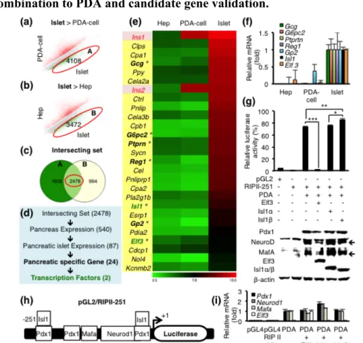 Figure 3. (a,b) Microarray gene scatter plots displaying islet-enriched genes by 2-fold  cut-off from (a) PDA-cell vs