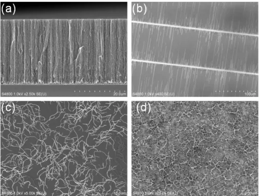 Figure  2.10  Typical  SEM  images  of  SWNTs  with  various  morphologies.  (a)  Vertically  aligned  SWNT forest, (b) Horizontally aligned SWNT arrays, (c) Randomly SWNT network, (d) SWNT  thin film on substrate