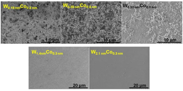 Figure 3.9 SEM images of SWNTs grown with various nominal thickness of W.