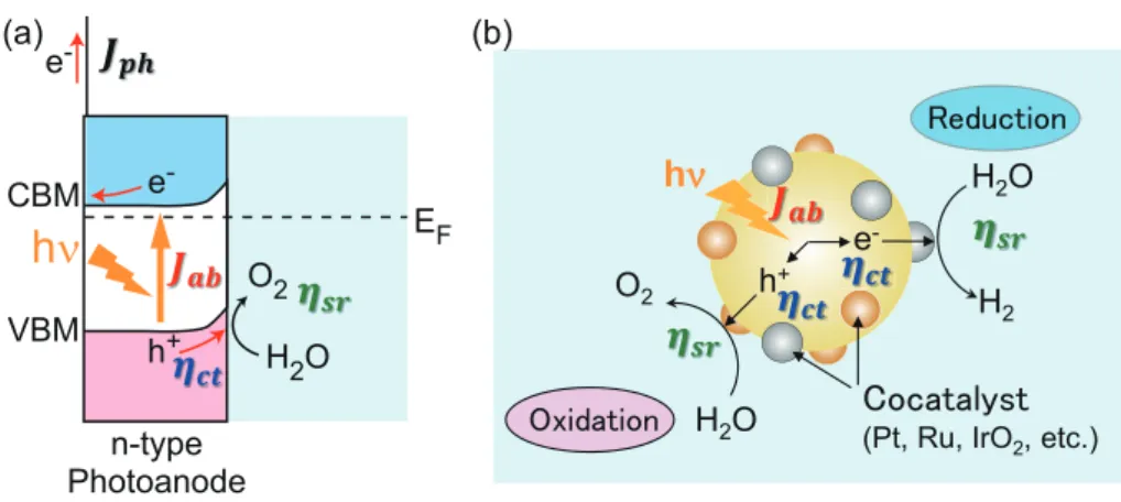 Figure 1.4: Basic principles of photoelectrochemical water splitting via (a) a photoelectrochem- photoelectrochem-ical cell and (b) powder photocatalysts.