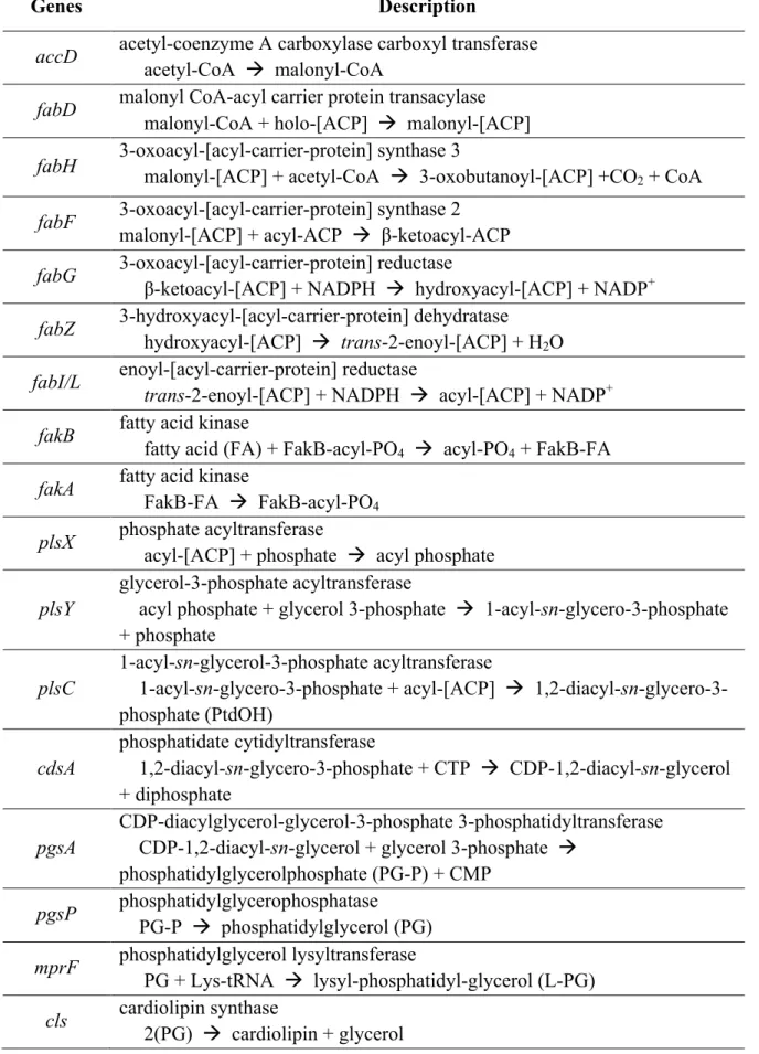 Table 3: Genes involved in phospholipid synthesis 