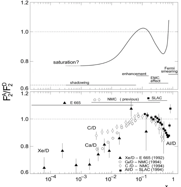 Figure 2.2: The ratio of F 2 structure functions of various nuclei to that of deuterium [5]