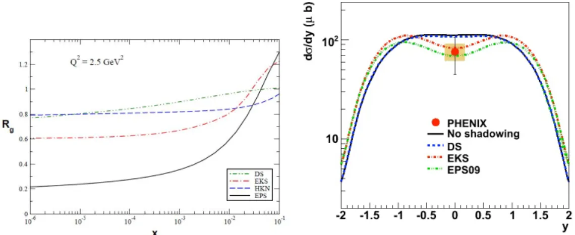 Figure 2.6: Left:Theoretical prediction of R Au g . Right:2004 UPC J/ψ +XN result with theoretical predictions [30, 29, 32, 33, 34, 22].