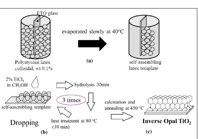 Figure 2.1: Schematic procedure of the fabrication inverse opal TiO 2  (a) template  preparation, (b) filling the template with TiO 2  (c) calcination of template and 