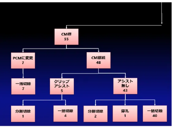 図 17  CM  群における ESD 終了までの経過 