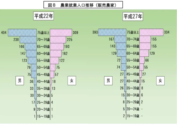 図 農業就業人口推移 販売農家