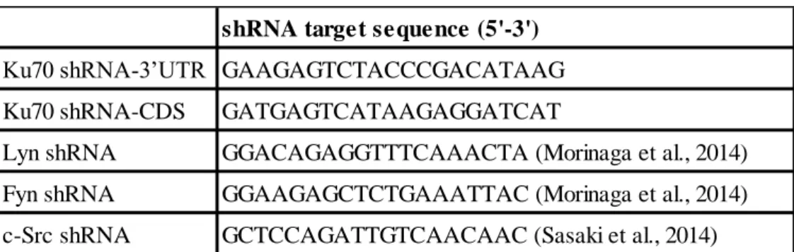 Table 3. Nucleotides list for shRNA 
