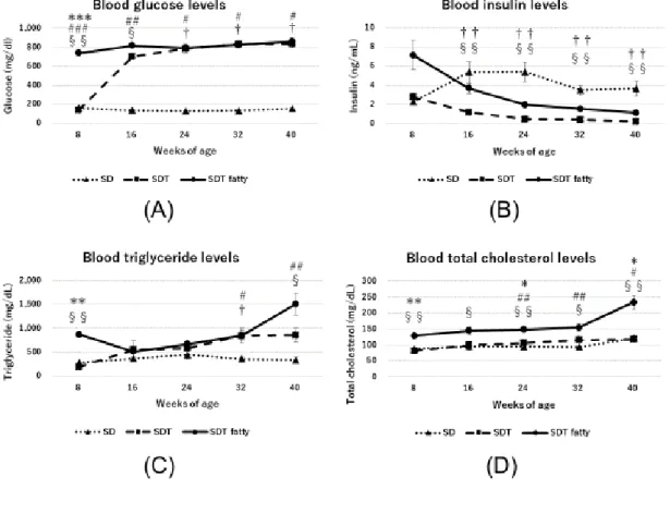 Figure  16.  実 験 1 の 各 ラ ッ ト 血 液 デ ー タ (A,  glucose;  B,  insulin;  C,  triglycerides; D, total cholesterol)。SDT ラットと比べ SDT fatty ラットの 糖脂質代謝異常が目立つ。 