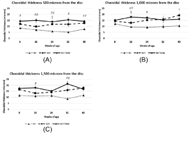 Figure 20.  実験 1 の各ラット脈絡膜厚  (A,  視神経乳頭から 500μm; B,  視神 経乳頭から 1,000μm; C,  視神経乳頭から 1,500μm)。 SDT fatty ラットは SD ラットよりも脈絡膜が肥厚する傾向があった。 
