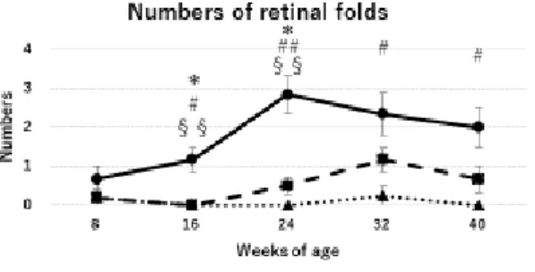 Figure 22.  実験 1 の各ラット網膜皺壁の数。 SD ラットでは網膜皺壁はほと