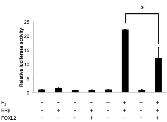 Figure 13 ERβ E 2 FOXL2
