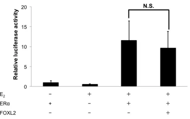 Figure 14   ERα E 2 FOXL2
