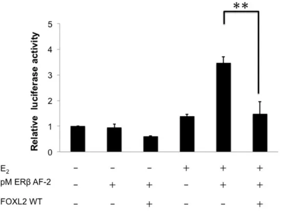 Figure 15 ERβ AF-2 FOXL2