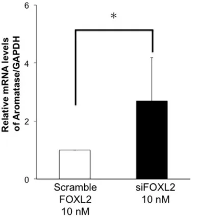 Figure 17 FOXL2 aromatase