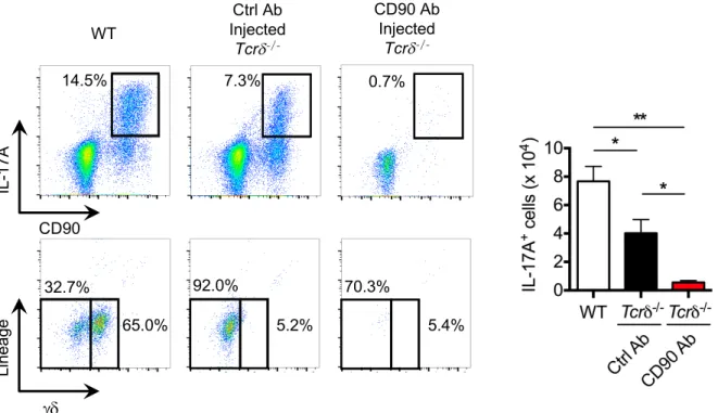 Figure S4 WT Ctrl Ab Injected Tcr d CD90 AbInjectedTcrd CD90IL-17A Lineage gd 14.5% 7.3% 0.7%32.7%65.0%92.0%5.2%70.3% 5.4%
