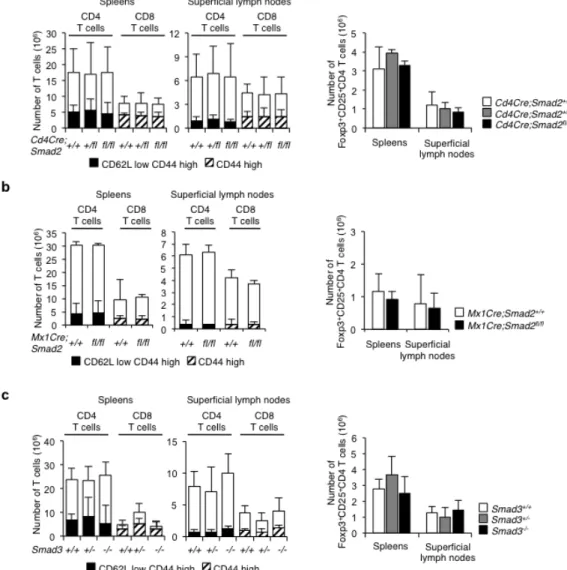 Figure 1 Smad2 and Smad3 are not essential for T cell homeostasis.   