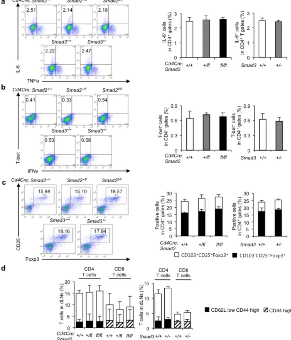 Figure 7 Disruption of Smad2 or Smad3 has no effect on effector T cell subsets except Th17 in CIA