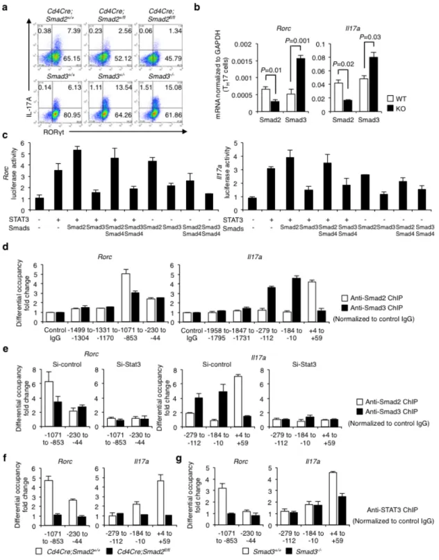 Figure 8 Opposing roles of Smad2 and Smad3 in STAT3-induced Th17 differentiation.   