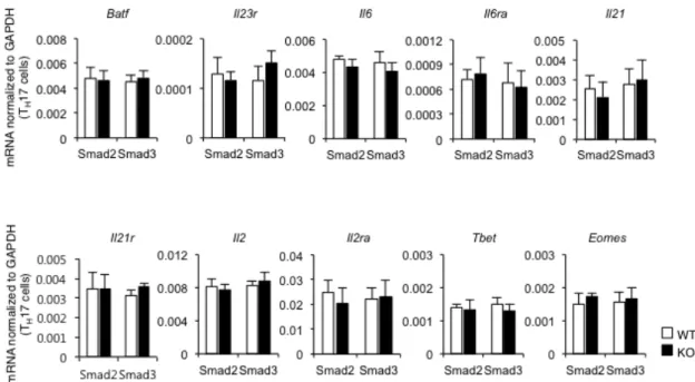 Figure 9 Disruption of Smad2 or Smad3 has no effect on Th17-related genes except the  Rorc and  Il17a genes