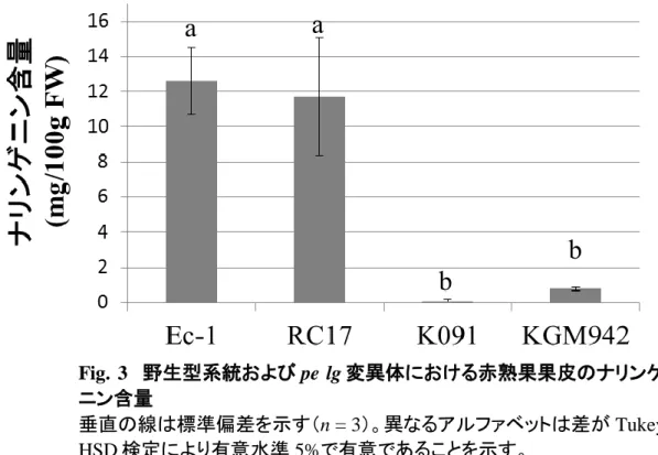 Fig.  3    野生型系統および pe  lg 変異体における赤熟果果皮のナリンゲ