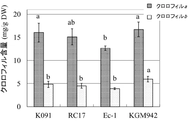 Fig. 5 野生型系統と pe lg 変異体のクロロフィル含量 