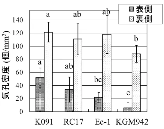 Fig. 11  野生型系統と pe lg 変異体の気孔密度