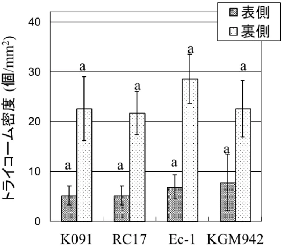 Fig. 12 野生型系統と pe lg 変異体のトライコーム密度 