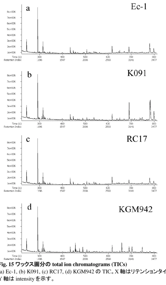 Fig. 15 ワックス画分の total ion chromatograms (TICs)  