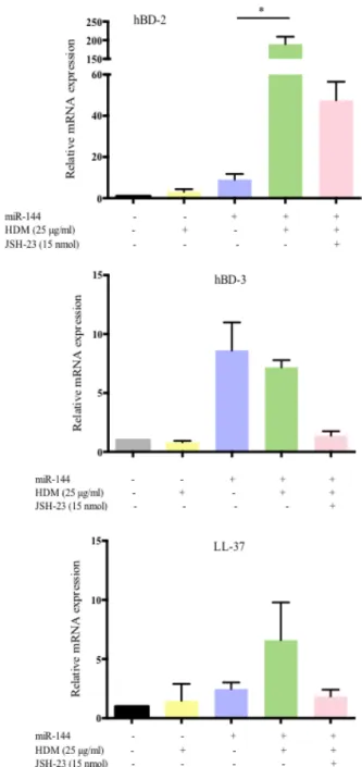 Figure 6. MiR-144 increases HDM-induced hBD-2 expression in keratinocytes. HPEKs  were transfected with miR-144 for 48 hours and stimulated with 25 µg/ml of HDM extract  for a further 24 hours with or without 15 nmol of p65 translocation inhibitor, JSH-23