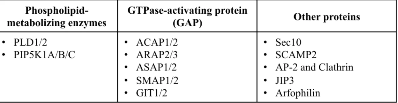 Table 1. Arf6 effector proteins. Arf6 regulates various cellular functions through interacting with  these effector proteins