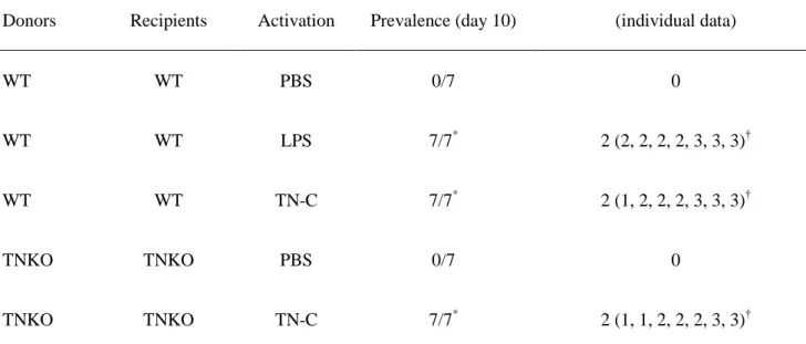 Table 1.    Prevalence and Severity of MyHC-α-Loaded DC-Induced Myocarditis in WT and TN-C KO Mice 