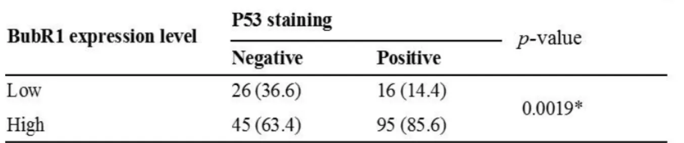 Table 3. P53 expression status and BubR1 expression level in gastric cancer 