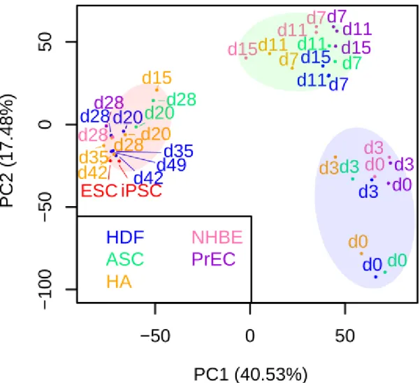 Figure 2a: Principal component analysis of each sample using 3615 dynamically  expressed genes indicated 3 distinct phases with a highly dissimilar late phase