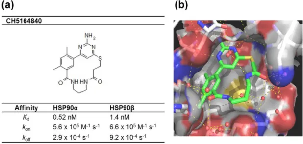 Fig. 1- 1  Chemical structure and binding afﬁnity  of CH5164840 to HSP90 protein. 
