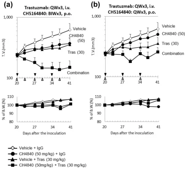 Fig. 1-  7.  Study of the  CH5164840 administration schedule during  combination  therapy with trastuzumab against HER2-overexpressing NCI-N87 xenograft models